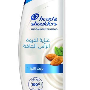 Head & Shoulders Dry Scalp Care